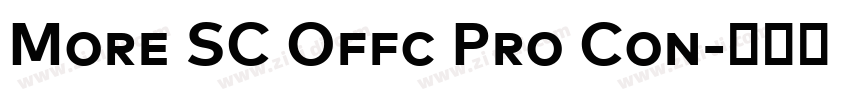 More SC Offc Pro Con字体转换